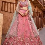 Organza Sequins And Zarkan Embroidery Lehenga Choli